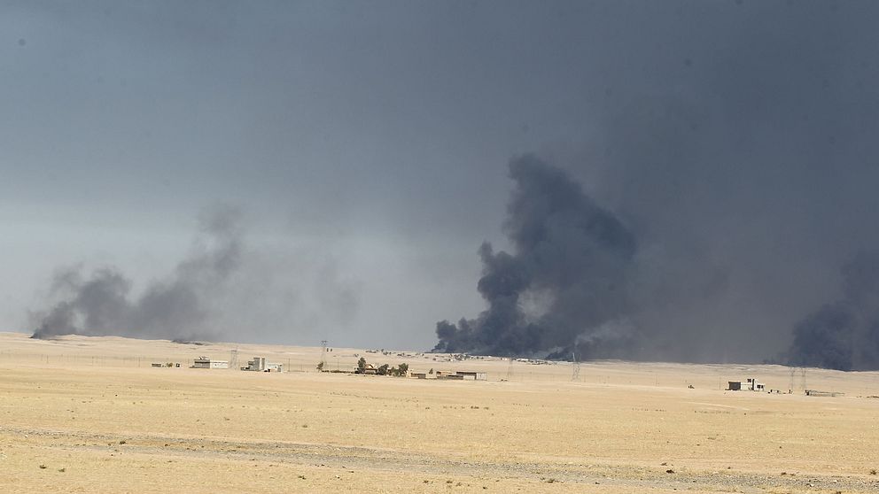 Rök stiger när olja eldas i vallgravar i Mosul.