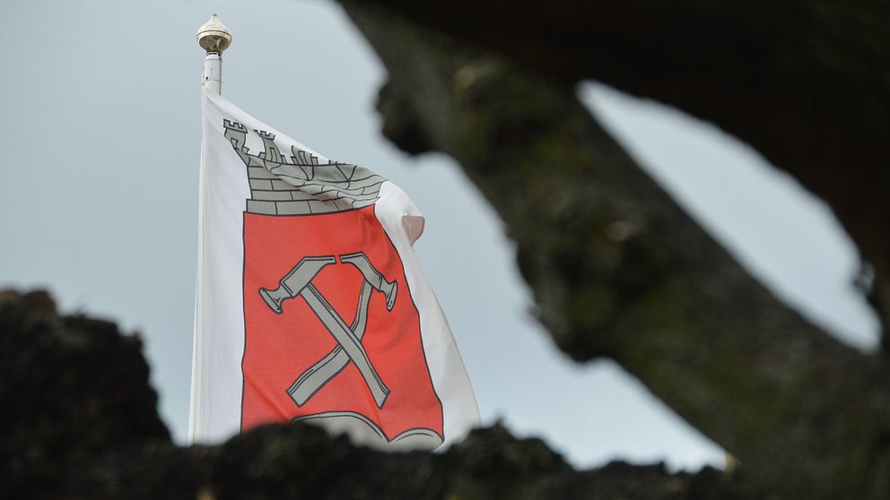 Kumlas kommunvapen på flagga bakom träd. Kumla kommun.