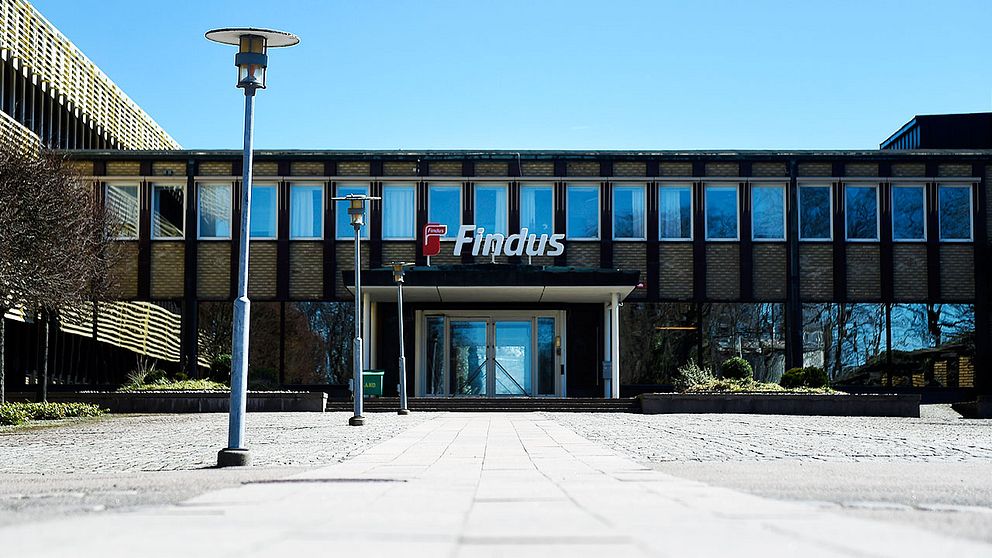 Findus i Bjuv