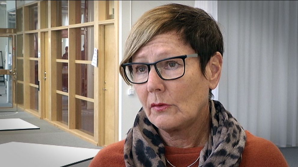 Birgitta Lindgren, områdeschef vid Försäkringskassan
