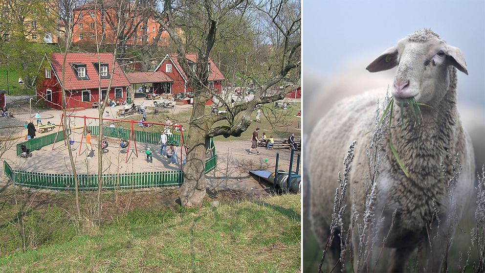 Blecktornsparken i Stockholm.