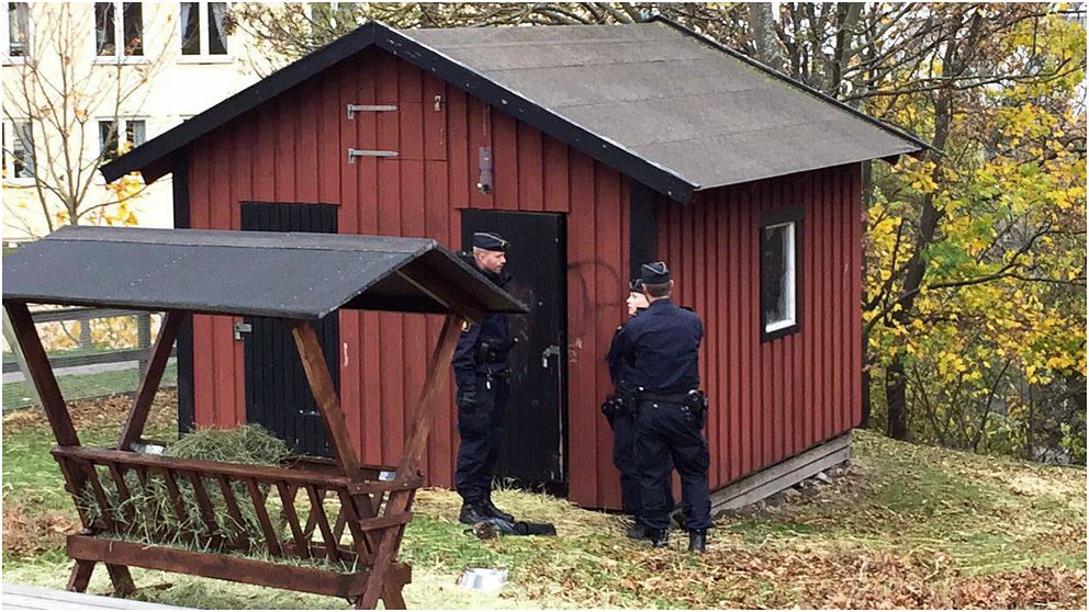 Polisen på plats i Stora Blecktornsparken på Södermalm.