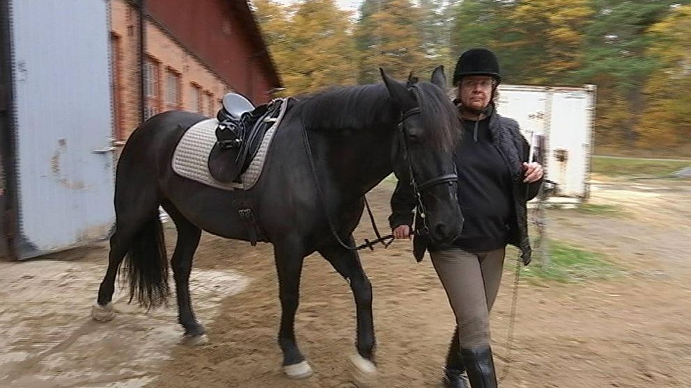 Lena Månsson fick ridterapi och är nu uppe på hästryggen igen.