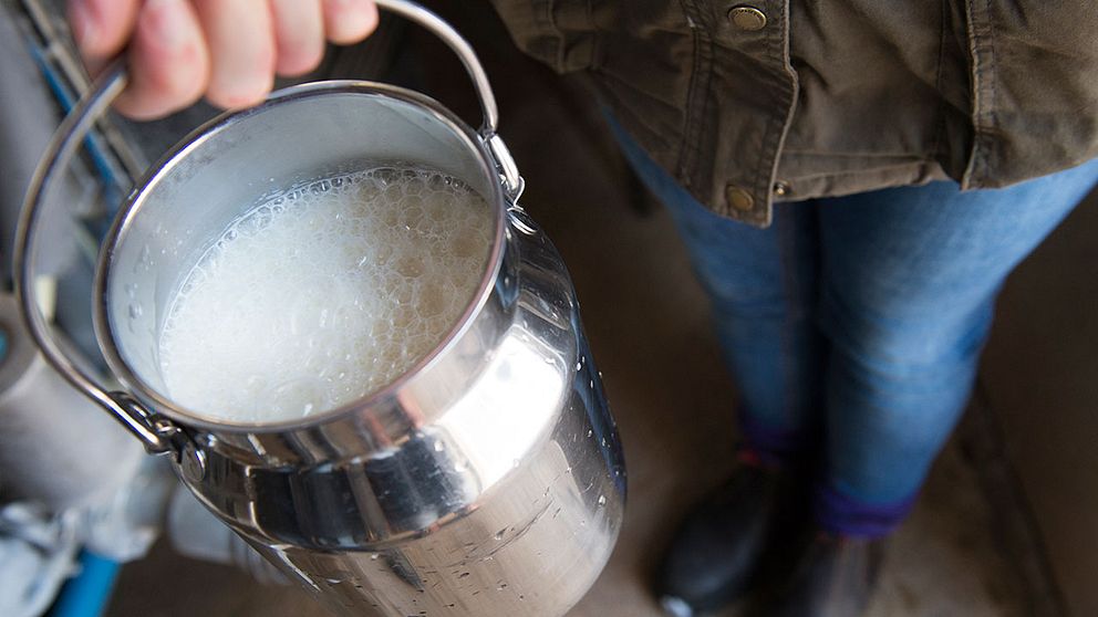 Arla höjer mjölkpriset som betalas till bönder för tredje gången i år.