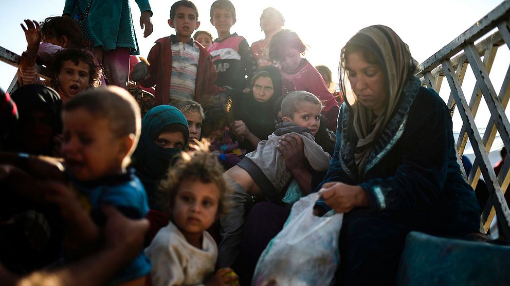 Irakiska barn och kvinnor som flytt striderna i Mosul.