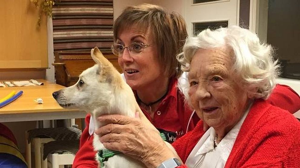 Gerd Gradin på Högsjögården har en mysig stund med hunden Tyr