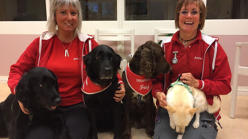 Annika Lundström och Marie Norberg ingår i vårdhundsteamet.