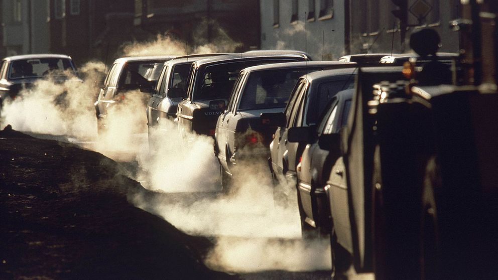 Den svenska regeringen vill skjuta ett år på införandet av EU:s skärpta utsläppsgränser för fordonsindustrin, erfar Svenska Dagbladet.