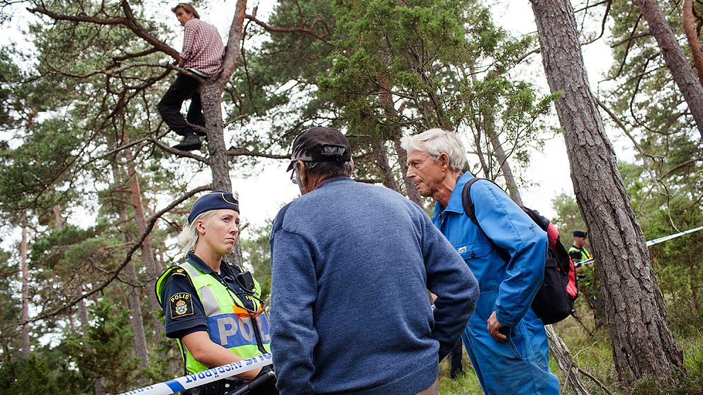 Två män pratar med en kvinnlig polis, samtidigt som en man sitter uppe i ett träd för att förhindra skogsavverkningen.