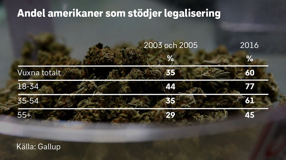 60 procent av amerikanerna är positiva till att legalisera cannabis, enligt en undersökning av opinionsinstitutet Gallup. Analysen kombinerar siffror från 2003 och 2005 därför att undersökningen gjordes på en halvgrupp av svarande vid respektive år.