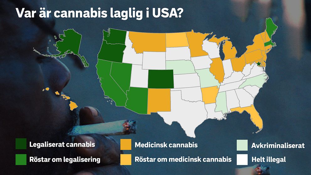 Var är cannabis laglig i USA?