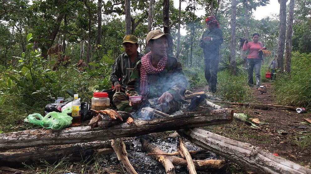 Miljöaktivisternas läger.