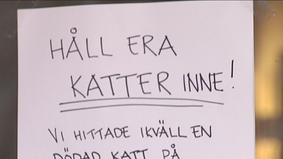 Skylt: Håll era katter inne