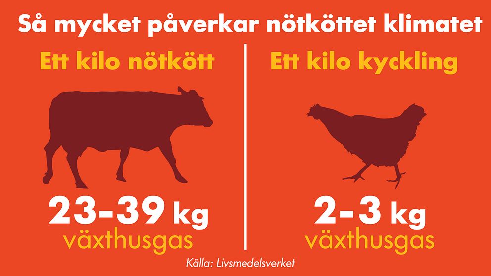 Grafik köttets klimatpåverkan.