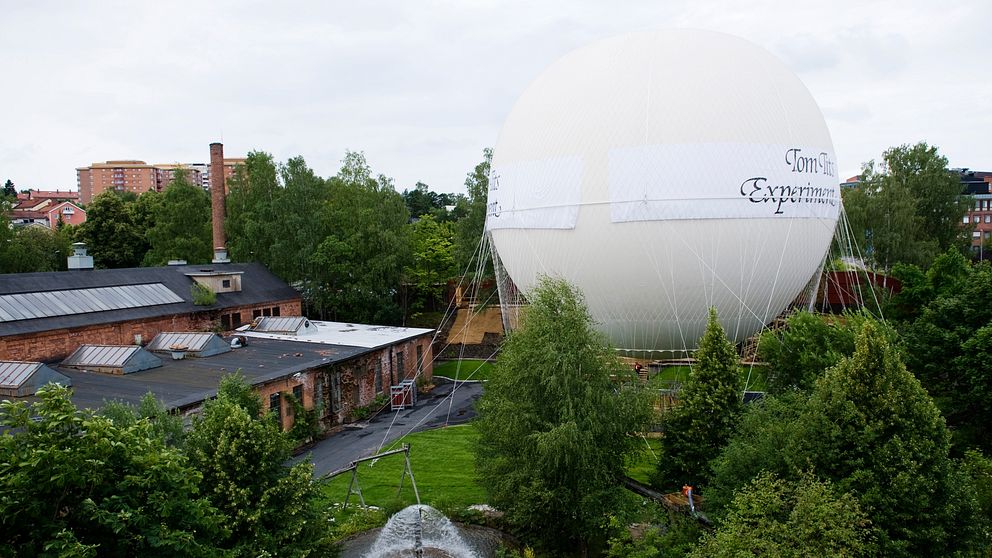 Tom Tits hade inte lika många sommarbesökare som vanligt.