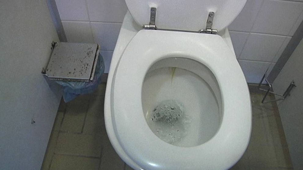Idag är det internationella Världstoalettdagen. Var tredje människa på jorden saknar tillgång till toalett.