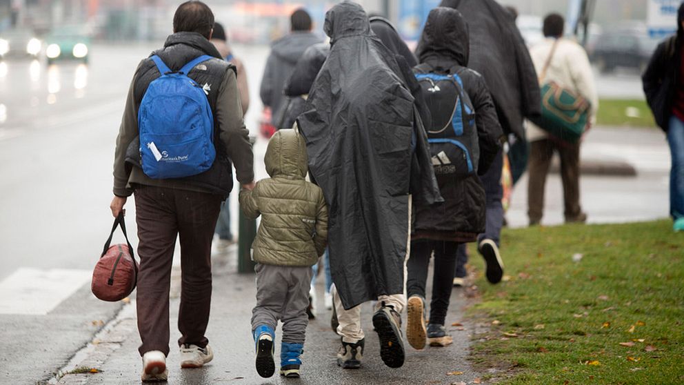 Flyktingar vandrar på väg