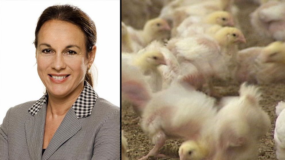 Maria Donis, vd för branschorganisation Svensk fågel, säger att producenterna är förbereda på konsekvenserna av fågelinfluensafallet i Skåne.