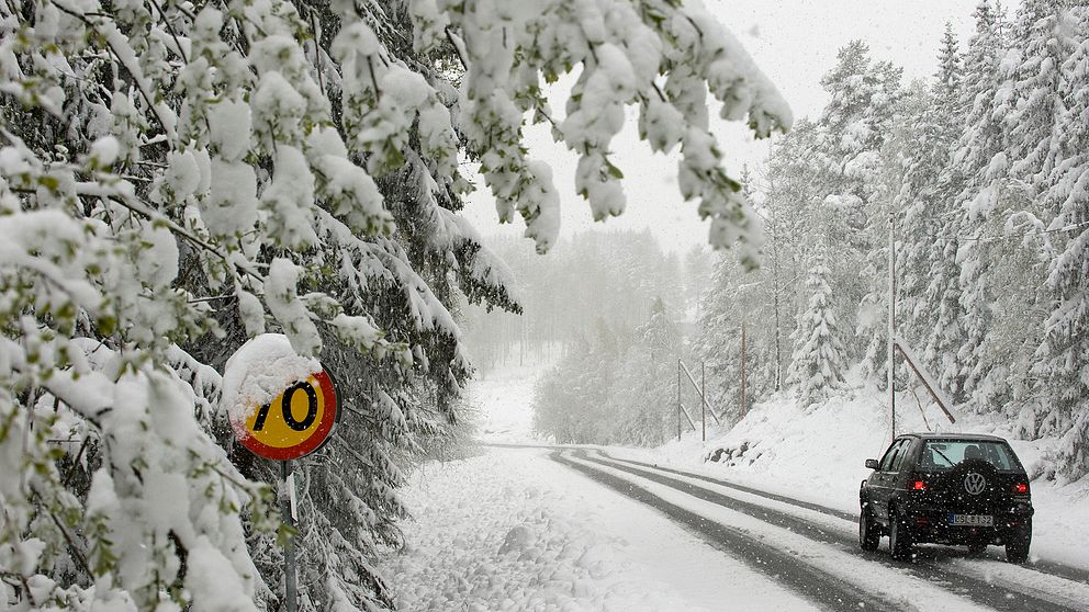 Snö, halt, vinter, trafik