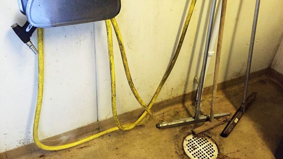 Smutsigt golv i städutrymme. Sopkvastar står lutade mot en vägg. En gul smutsig slang hänger på väggen.