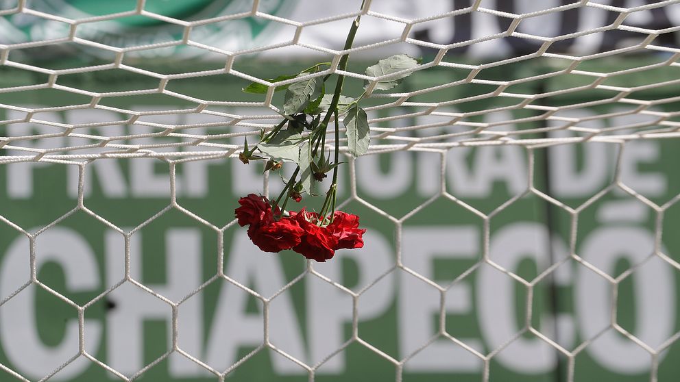 Atlético Nacional vill ge bort titeln till Chapecoense.