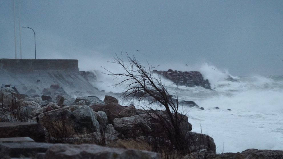 Vågorna piskade in mot Visby hamn i samband med stormbyarna på första advent den 27 november.