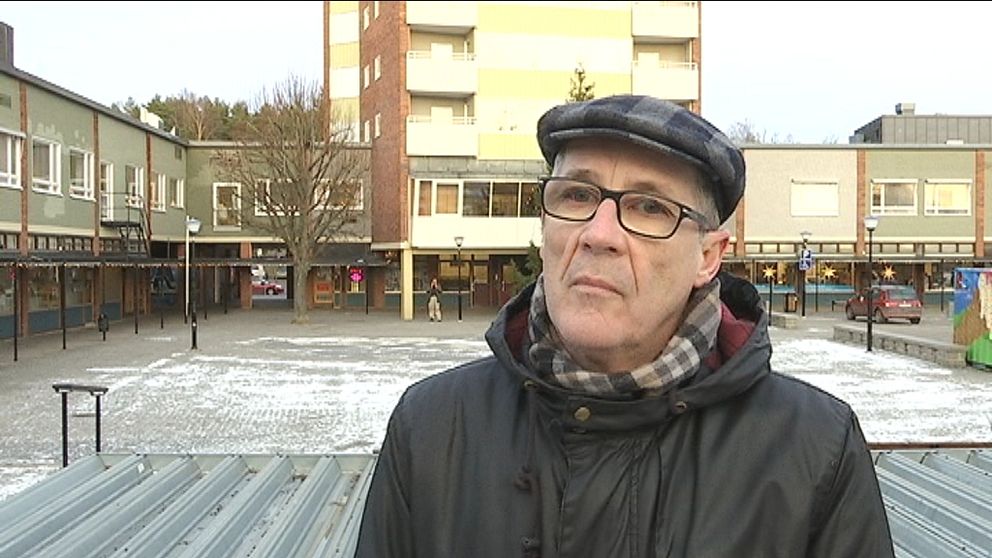MDH forskaren och statsvetaren Terence Fell