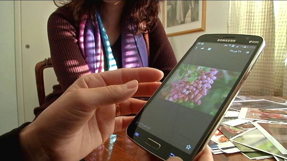 Amina Albasha som kom till Gotland för ett år sedan, berättar om bilderna som hon har i sin telefon. Hon berättar om hur hon brukade vara med och skörda pistagenötter i hemlandet Syrien.