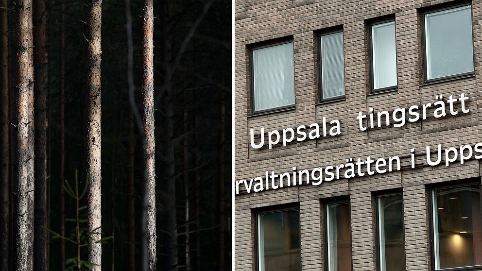 Skog tingsrätt