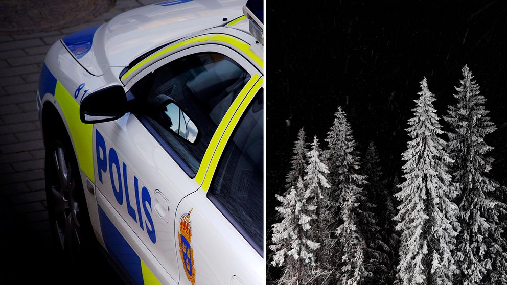 fotomontage. Till vänster en polisbil och till höger en bild på träd med fyllda med snö. Bägge bilder är tagna i skymning eller kväll.