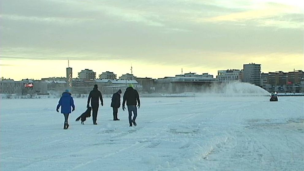 folk och en hund på isen i Luleå