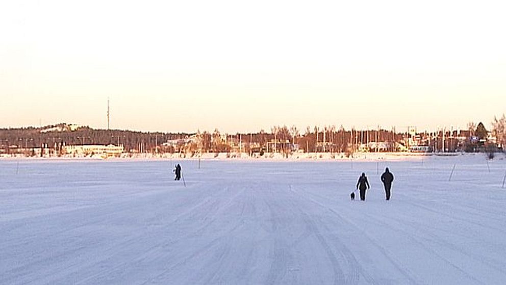 Isbanan i Luleå