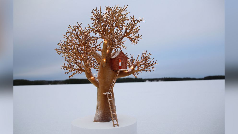 hus i träd av pepparkaka fotat ute på snöig sjö.