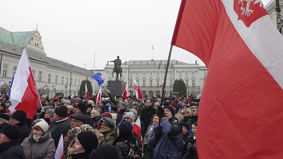 Demonstranter som demonstrerar utanför parlamentet.