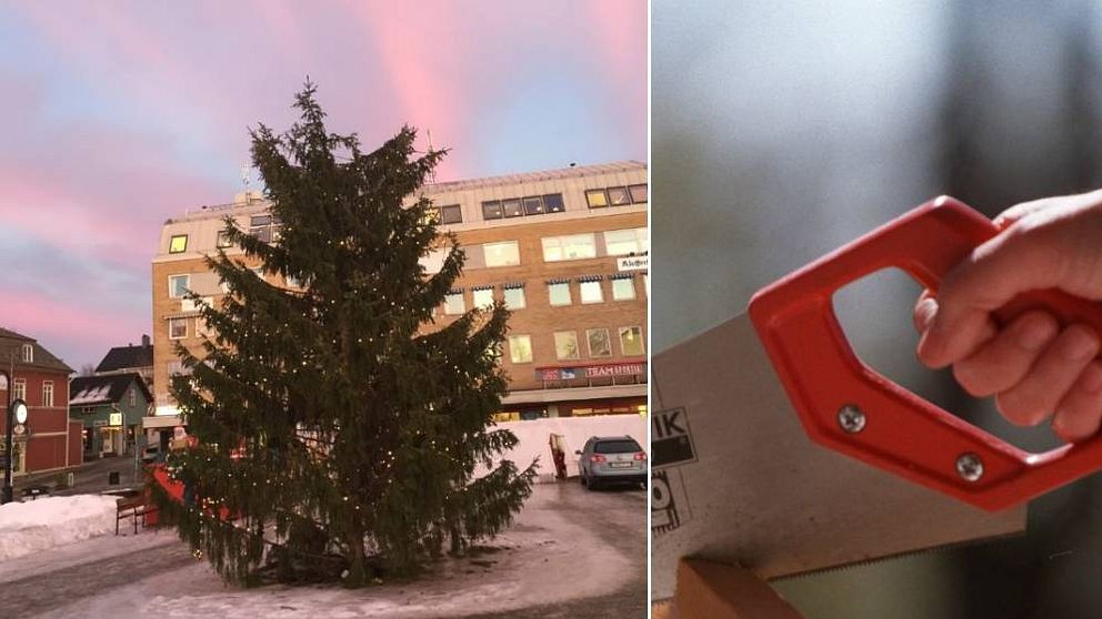 julgran, lycksele, såg
