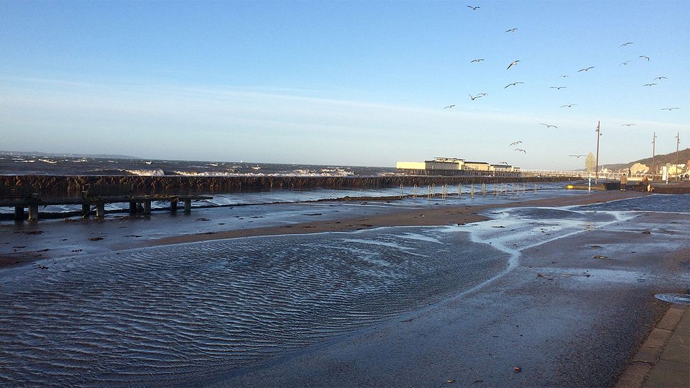 Översvämning i Helsingborg vid Strandvägen.