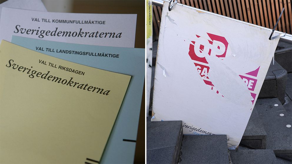 Sverigedemokraterna.