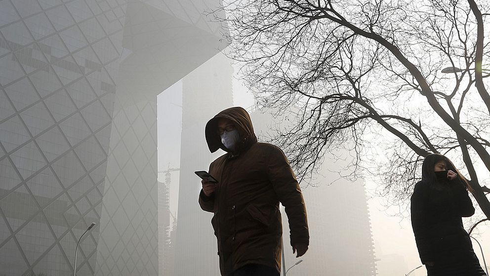 Pekingbor med munskydd