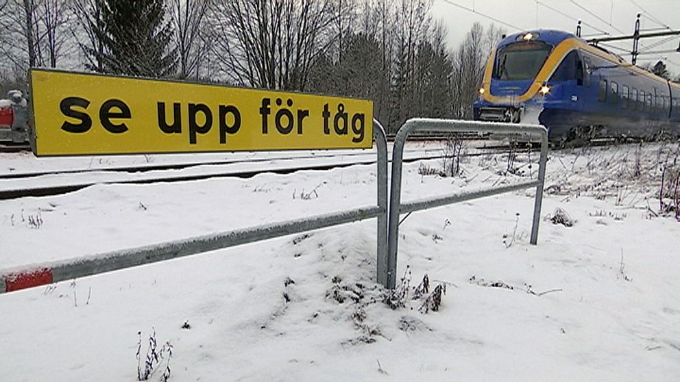 Anette Nyberg i Matfors har startat en Facebookgrupp för hästägare efter olyckan då fyra hästar dödades av tåget.