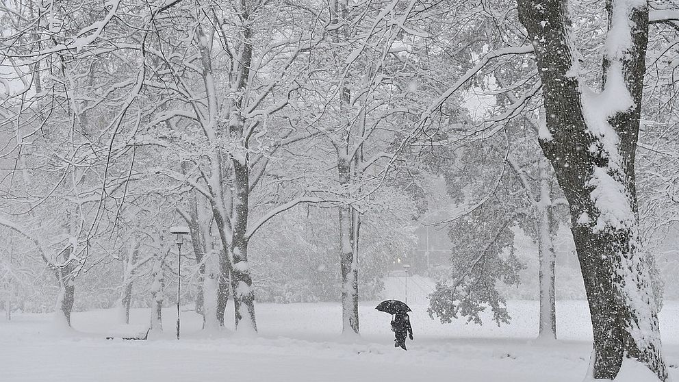 En person som promenerar i snön