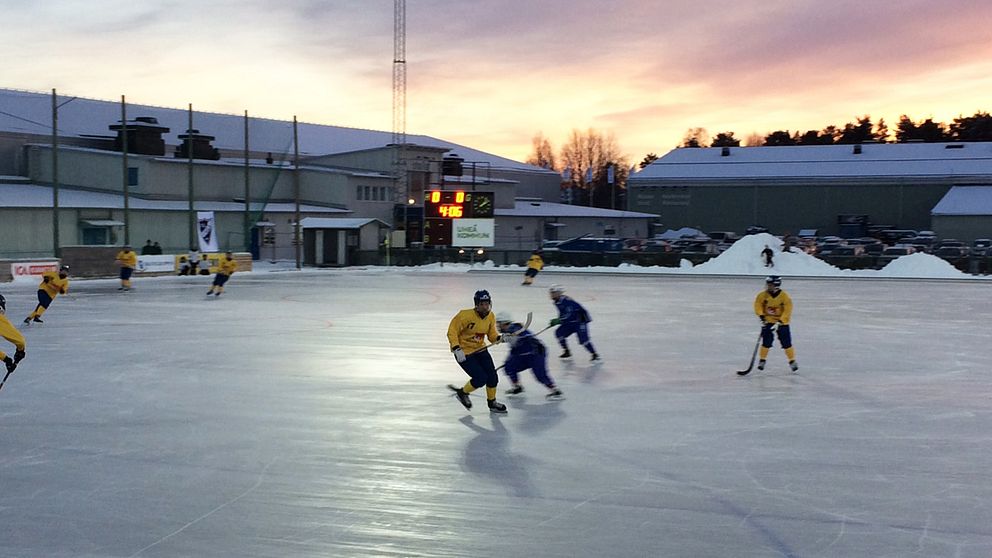 Bandy damer Umeå Sverige Finland landskamp 2016