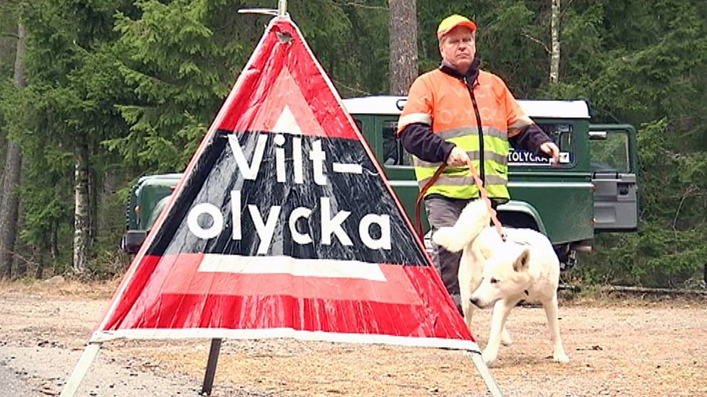 Germund Eriksson, ansvarig jägare Nationella Viltolycksrådet