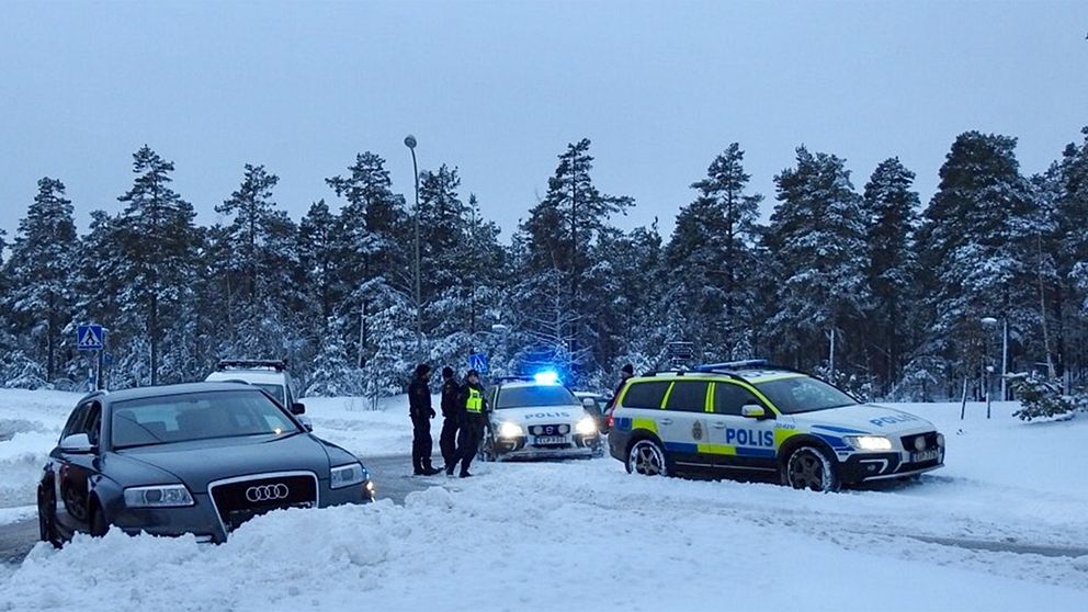 En av bilarna, en Audi RS6, som stals från bilfirman åkte av vägen i Tyresö.