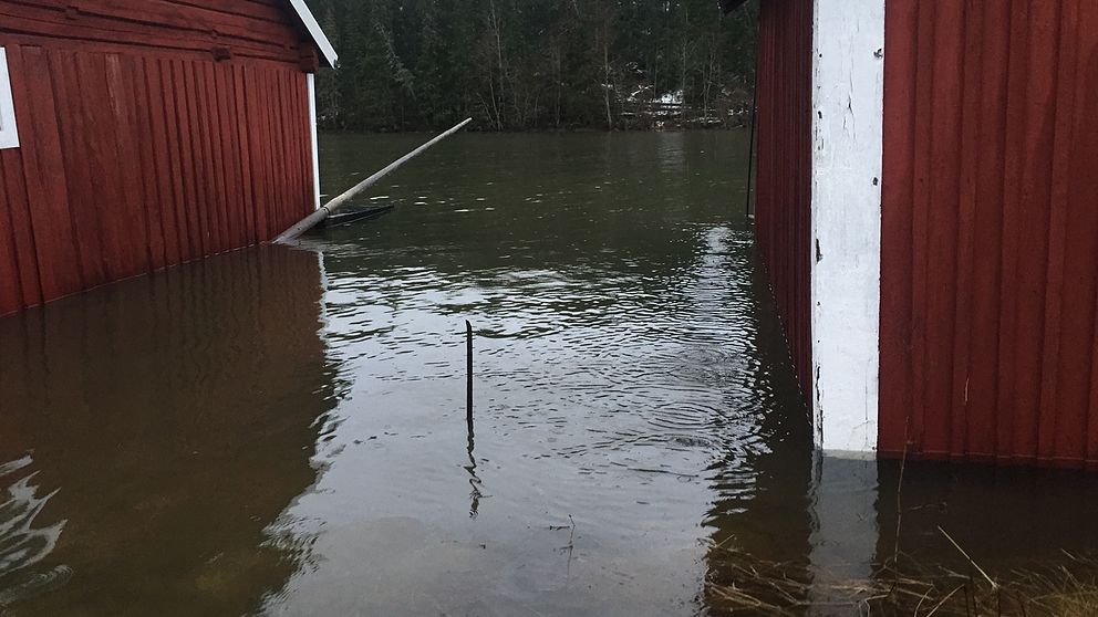 Sjöbod i Gånsvik under vatten