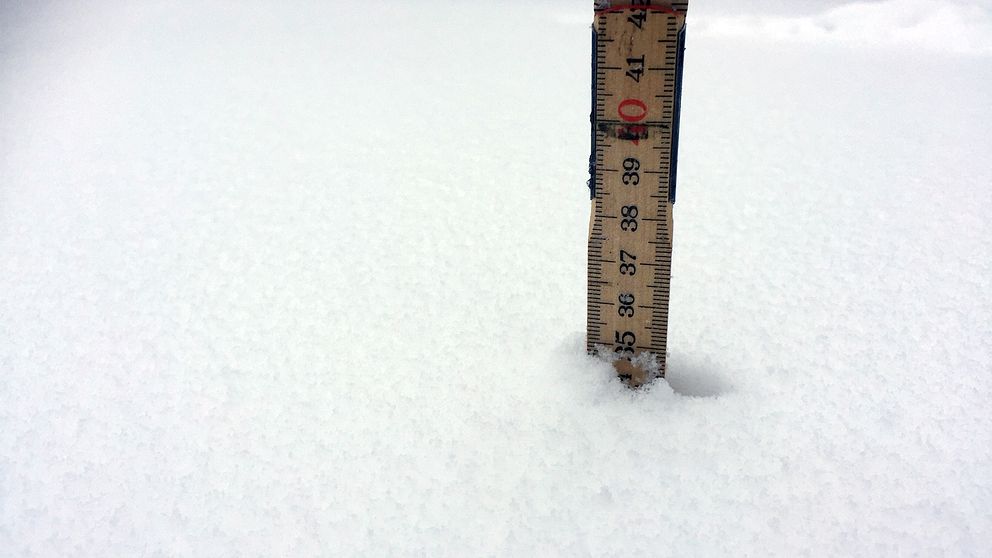 Snödjup