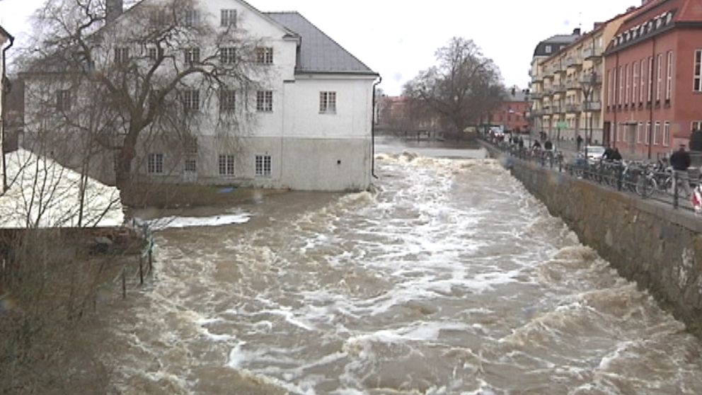 Vatten i massor i Fyrisån genom Uppsala den 19 april.