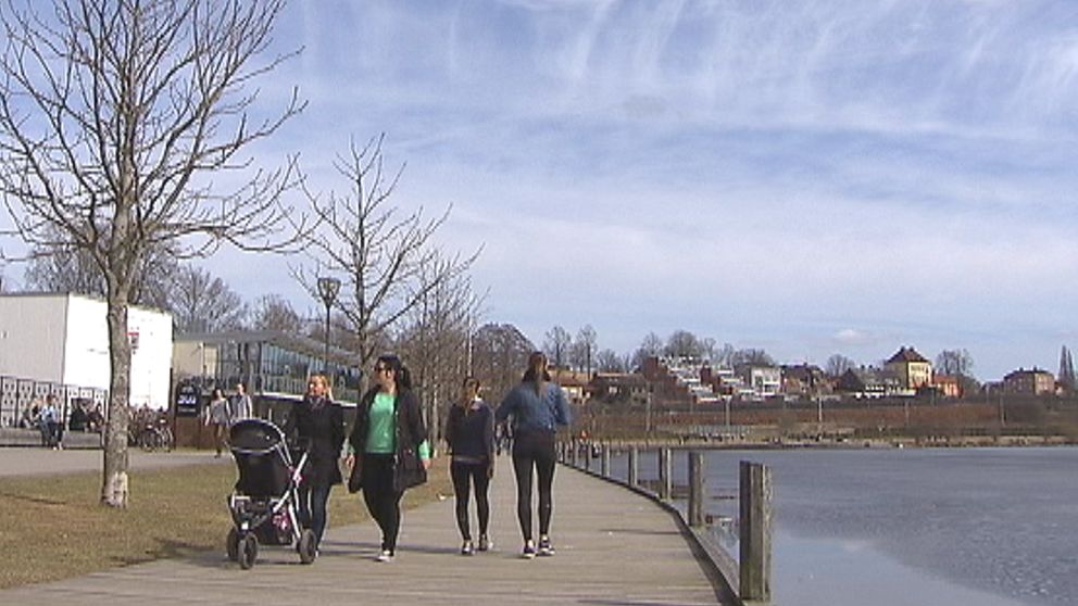 Det mest välkända vårtecknet? Homo sapiens njöt till fullo av den första riktigt varma vårdagen i Växjö den 14 april.