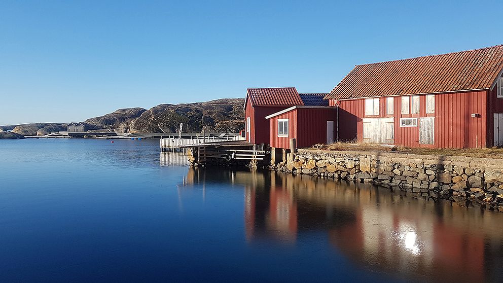 Bild från Hallevikstrand, Orust