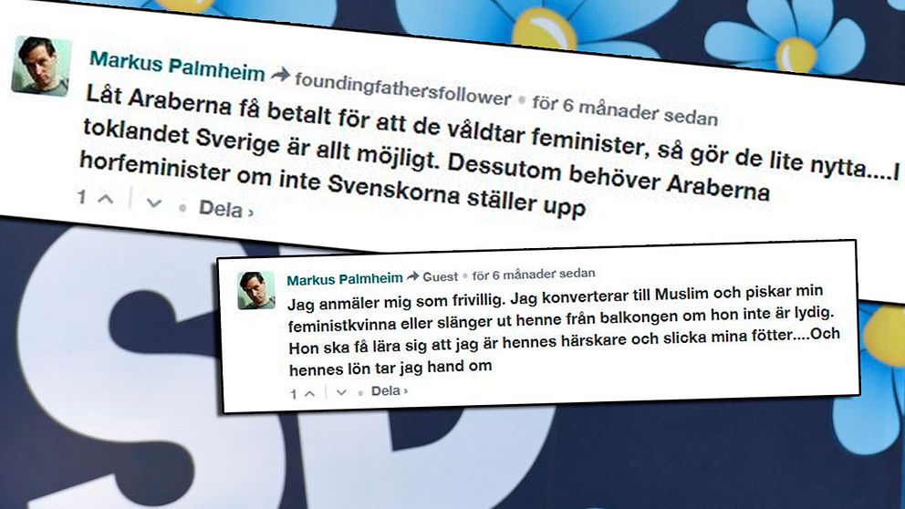 Det är i kommentarsfältet på en insändare på bloggen Avpixlat med titeln ”Feminism på villovägar” som Markus Palmheim, ledamot i SD i Danderyd bland annat uttrycker hat mot feminister: ”Låt Araberna få betalt för att de våldtar feminister, så gör de lite nytta.... I toklandet Sverige är allt möjligt. Dessutom behöver Araberna horfeminister om inte Svenskorna ställer upp.”