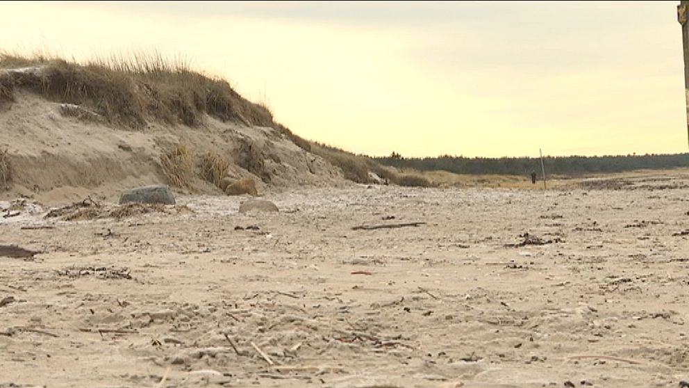 Sanddynor på Sibirien utanför Ängelholm